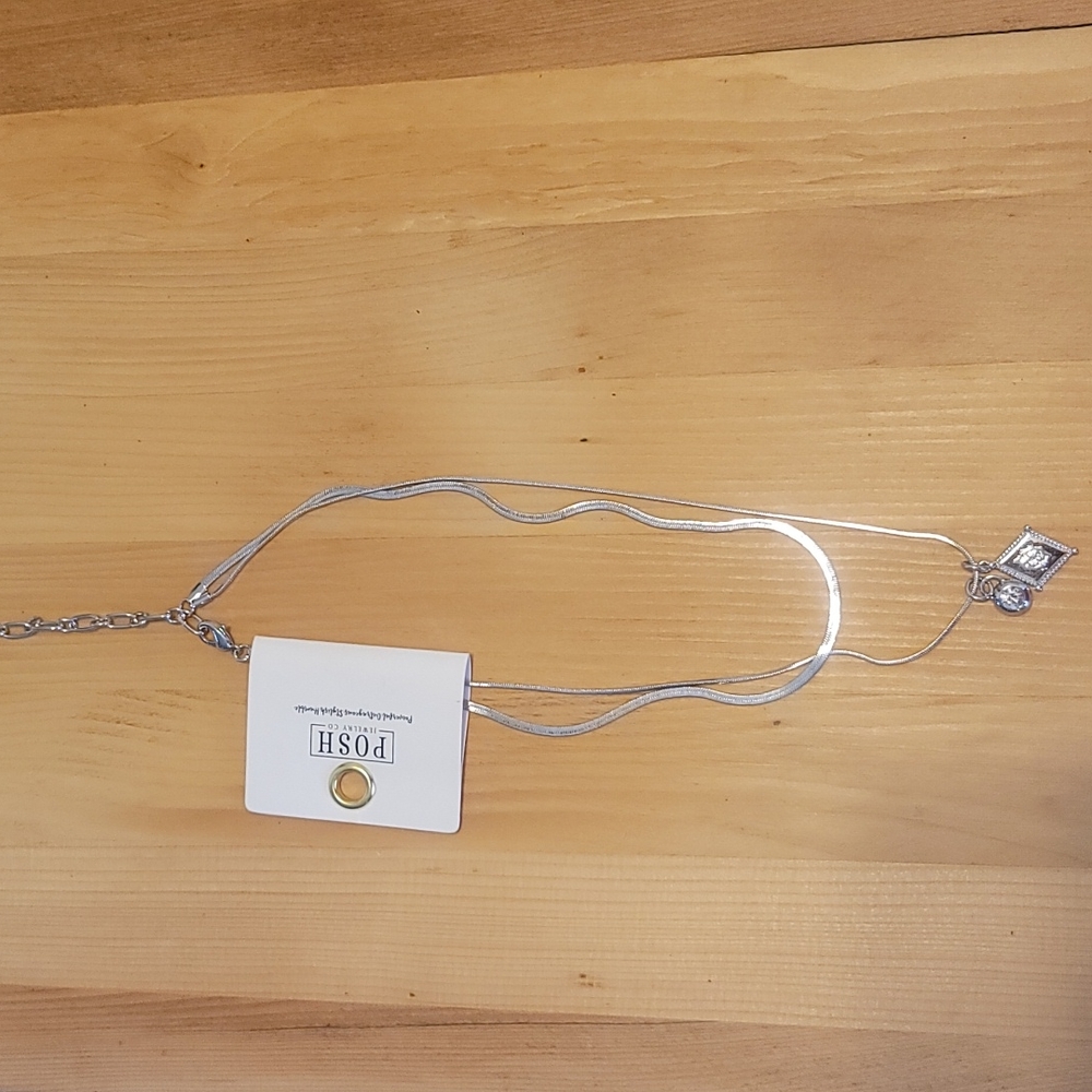 NEW POSH (Pink Panache) Double Layer Necklace with Charms